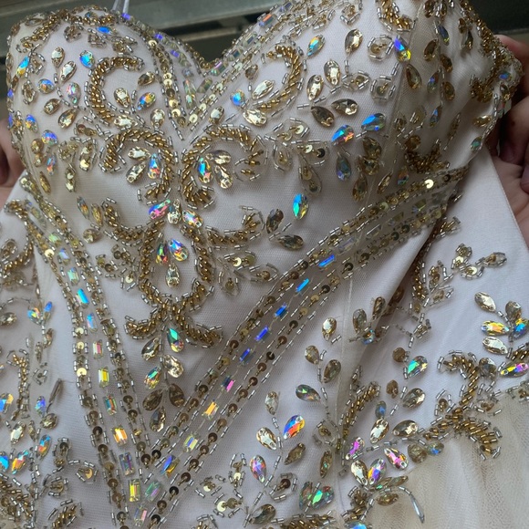 Champagne Quinceañera Dress (New w/ tags) - Picture 2 of 10